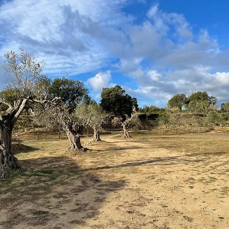 Claros Casa vacanze *