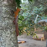 בית נופש Claros